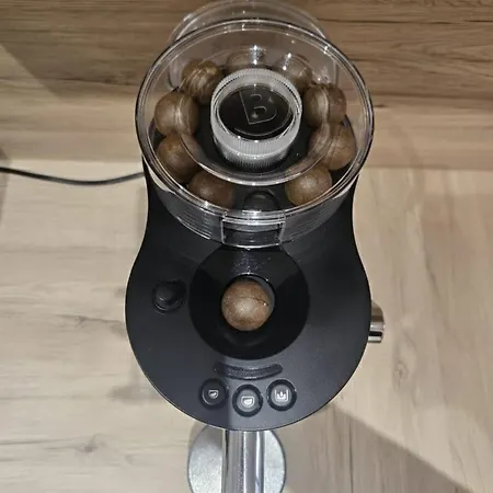 Cite De La Gastronomie * Dijon